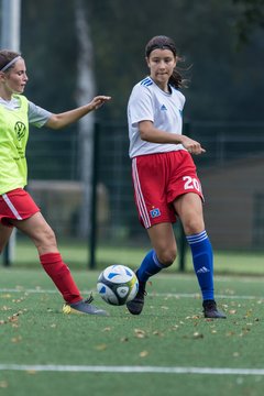 Bild 260 - C-Juniorinnen HSV - Walddoerfer : Ergebnis: 9:1